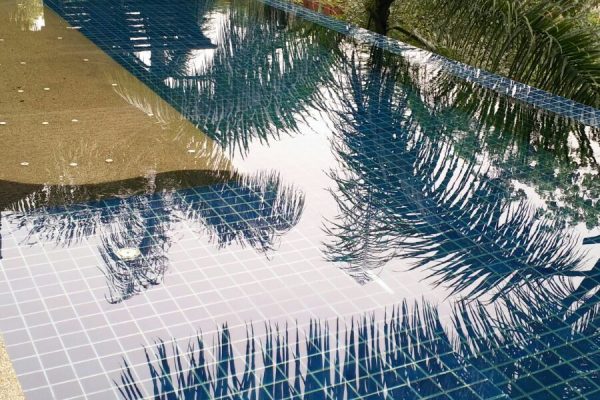 Infinity Pool With Reflection Of Trees - Eureka Pools